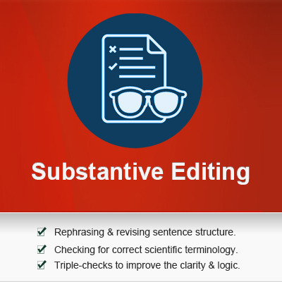 substantive editing service